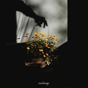 女主播直播引诱技师小伙
