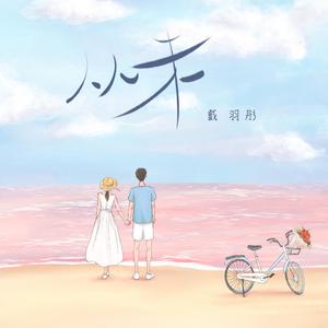 女主播直播引诱技师小伙
